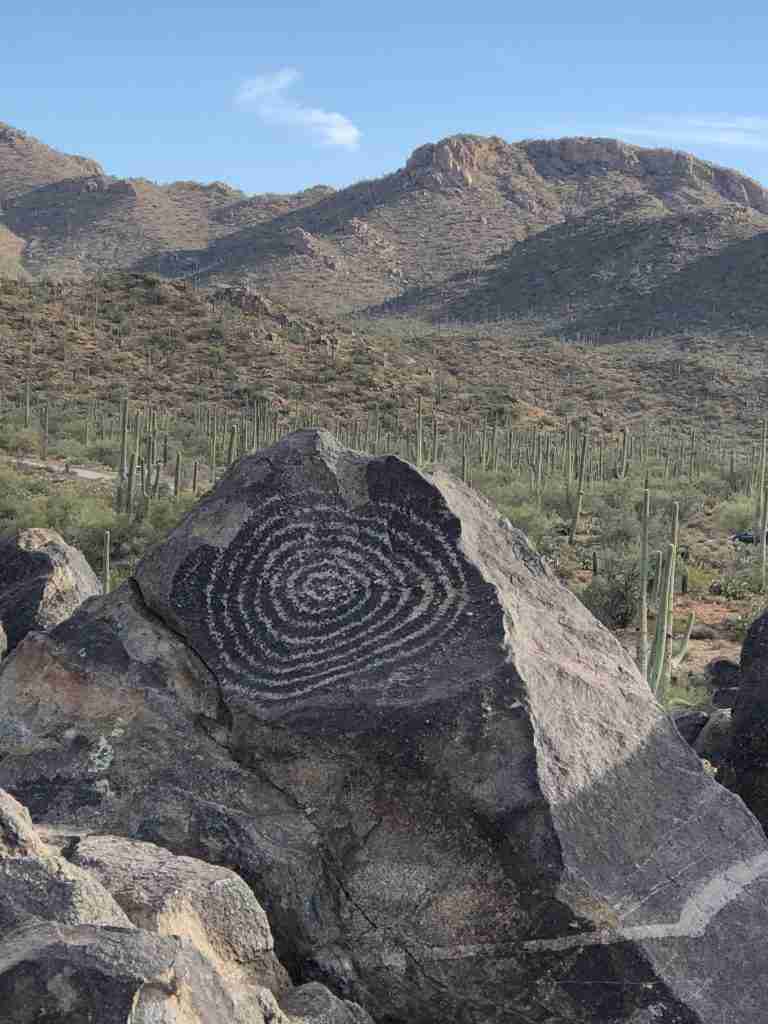 saguaro national park signal hill petroglyphs