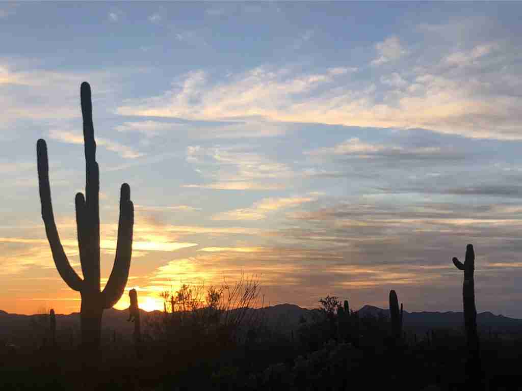 Sunset at Saguaro National Park