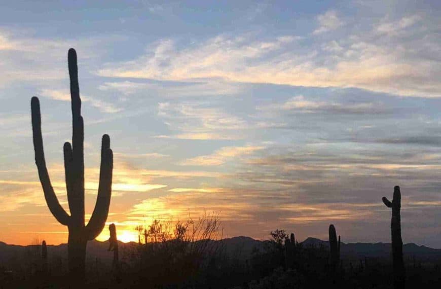 Sunset at Saguaro National Park