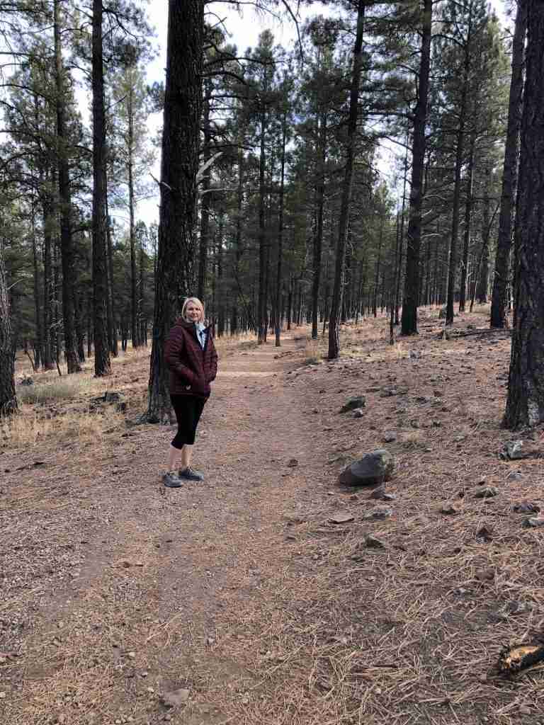 Coconino National Forest near Sedona