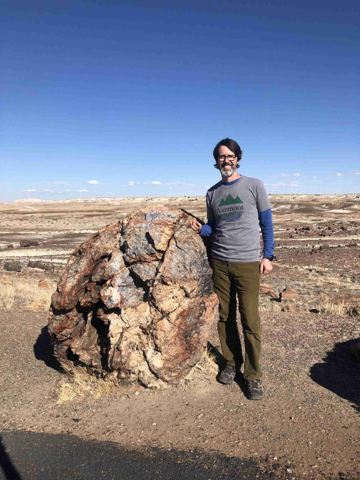 A man stands next to a stone log in Petrified Forest National Park, AZ