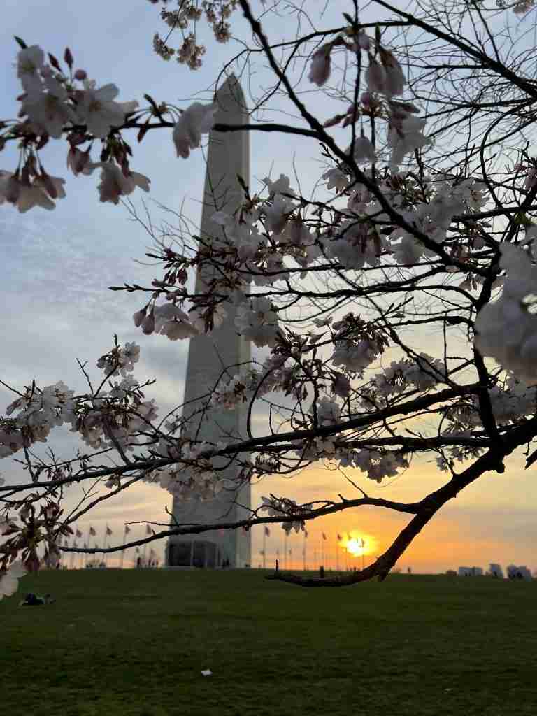 Washington Monument at sunset