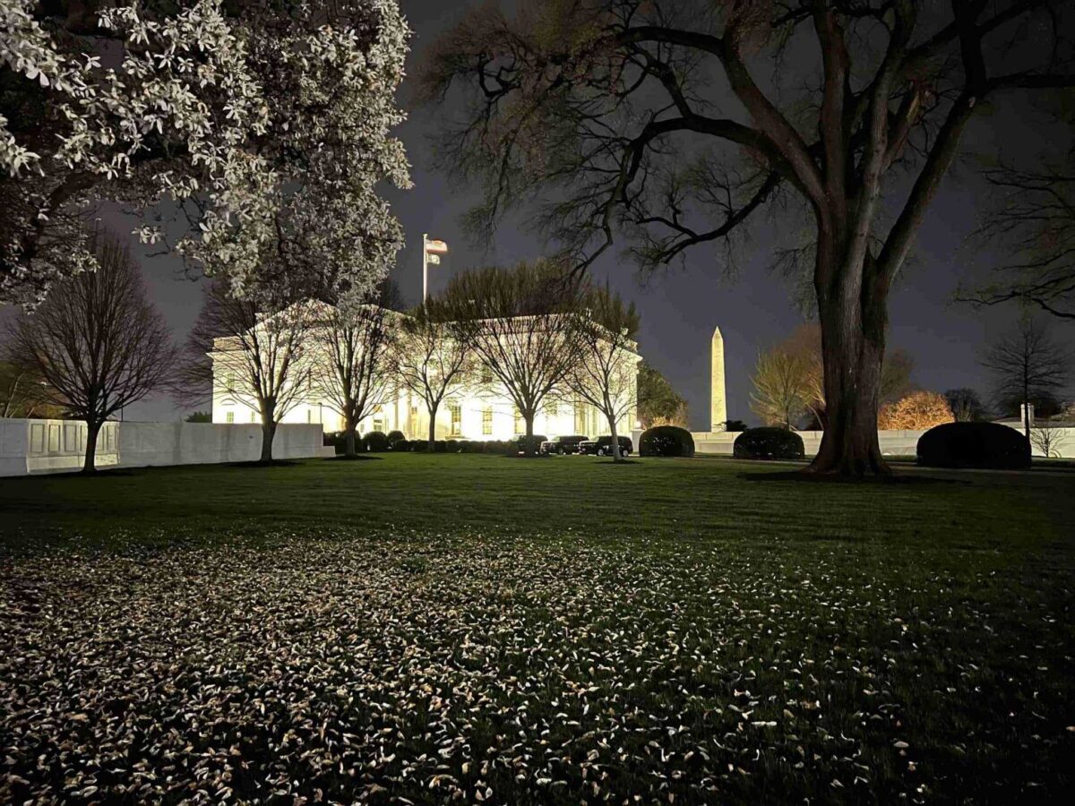 Flower petals on the White House lawn
