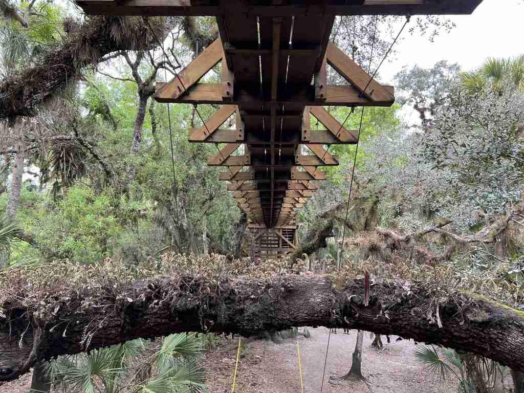 underneath view of Myakka River Canopy Walkway