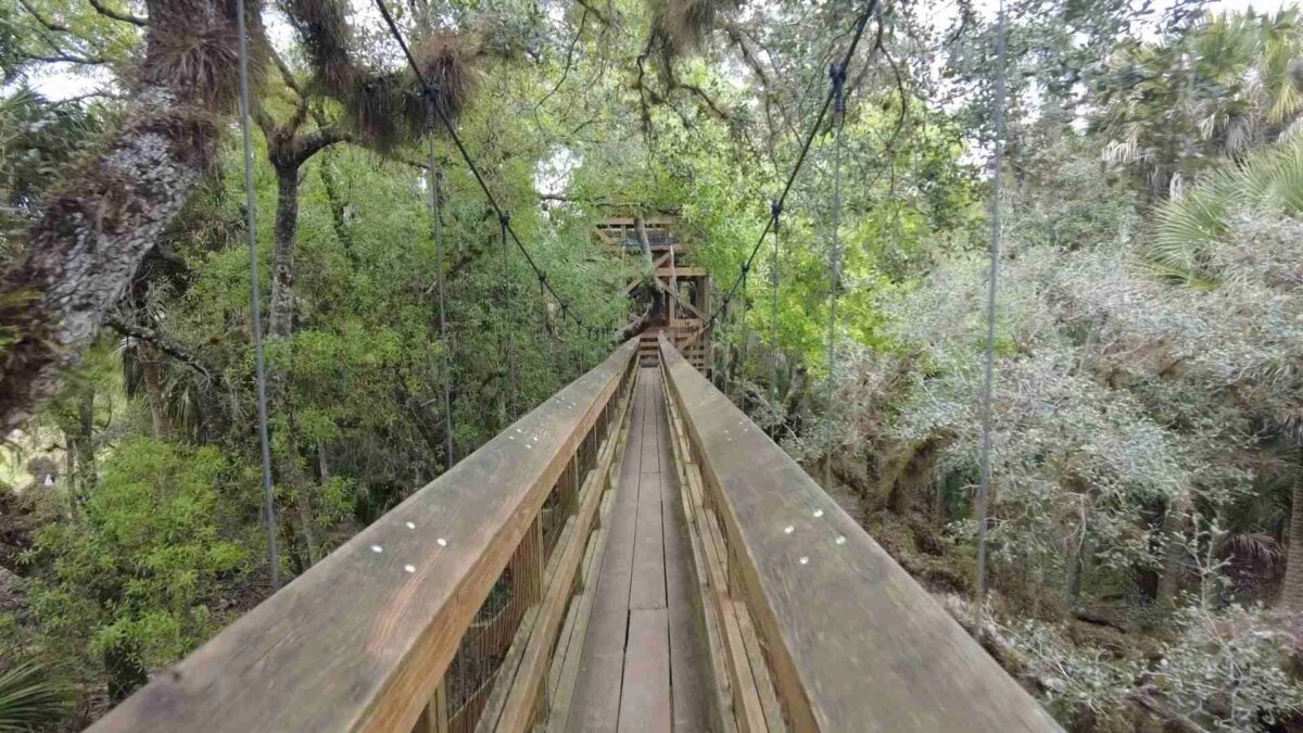 Myakka River State Park Canopy Walkway