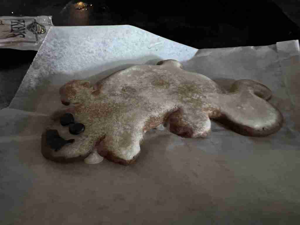 Ginger newt cookie in Harry Potter World