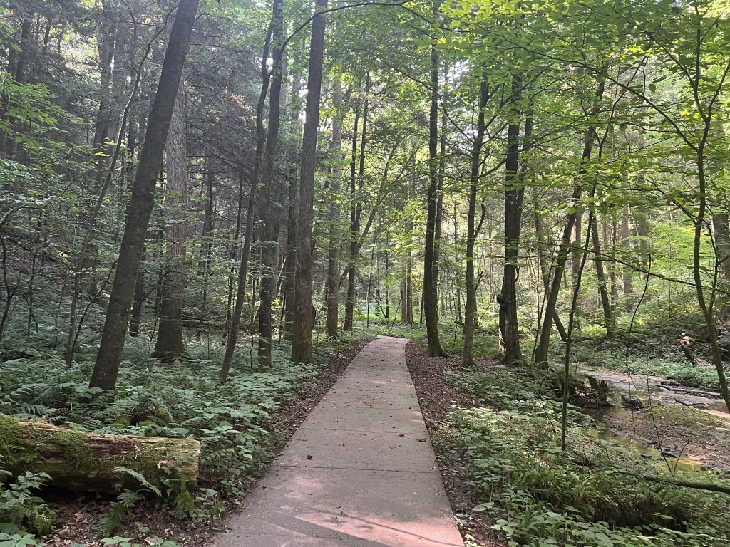 Gorge Trail in Conkle's Hollow at Hocking Hills State Park