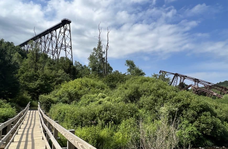 View of Kinzua Bridge from the gorge.