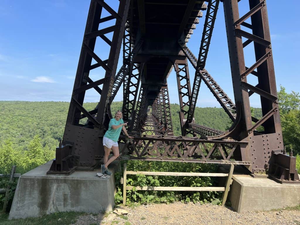 View of Kinzua Bridge from picture taking platform