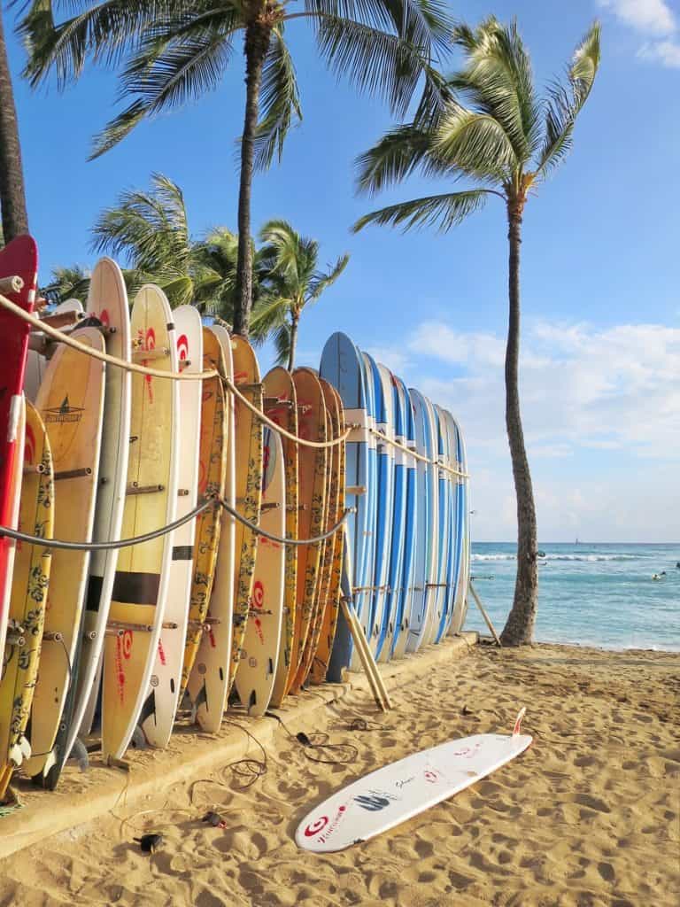 surfboards lined up on the beach