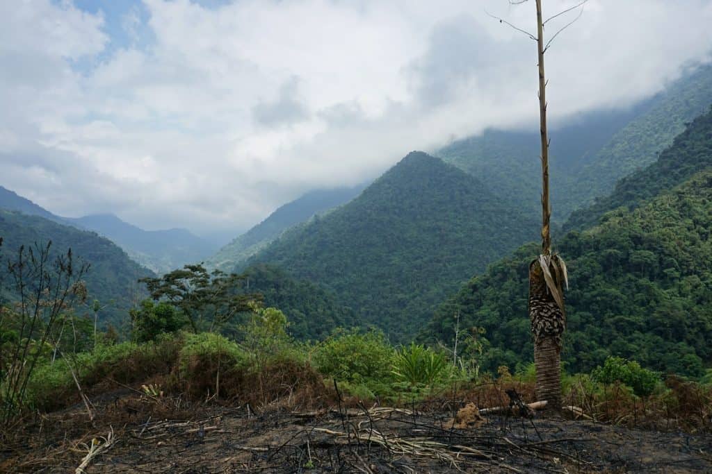 Colombia's lost city