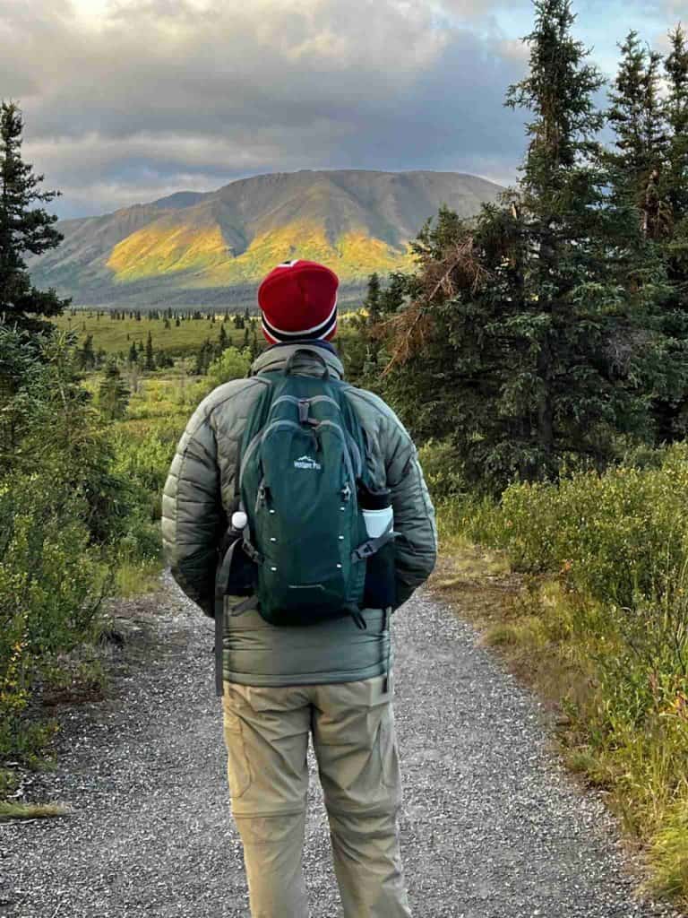 Mountain Vista Trail in Denali NP