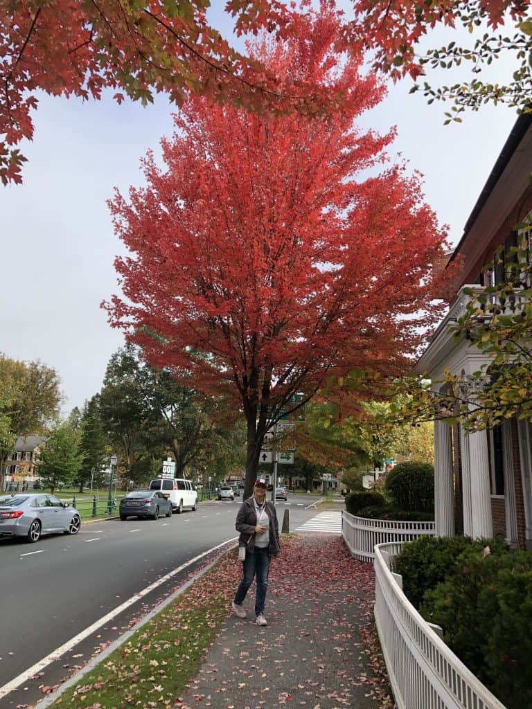 Julie in Woodstock, VT