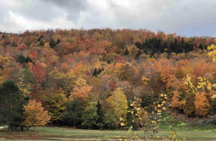 Fall foliage in Vermont