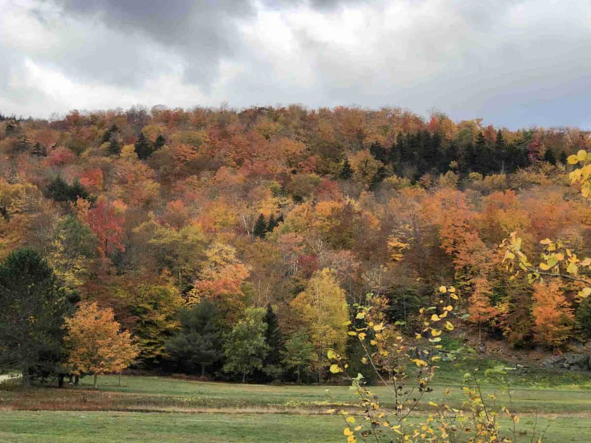 Fall foliage in Vermont