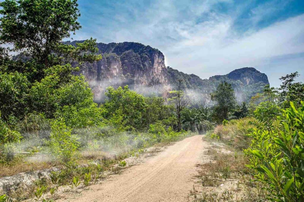 dirt road on tropical island