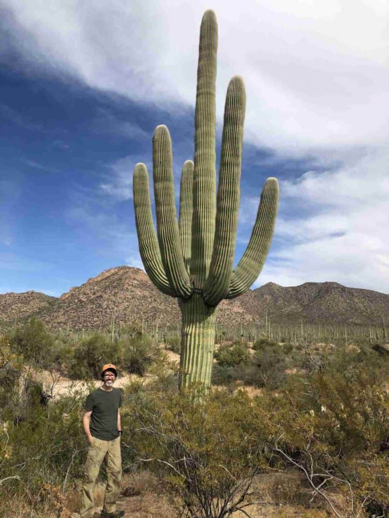 Standing under a giant cactus in Saguaro West