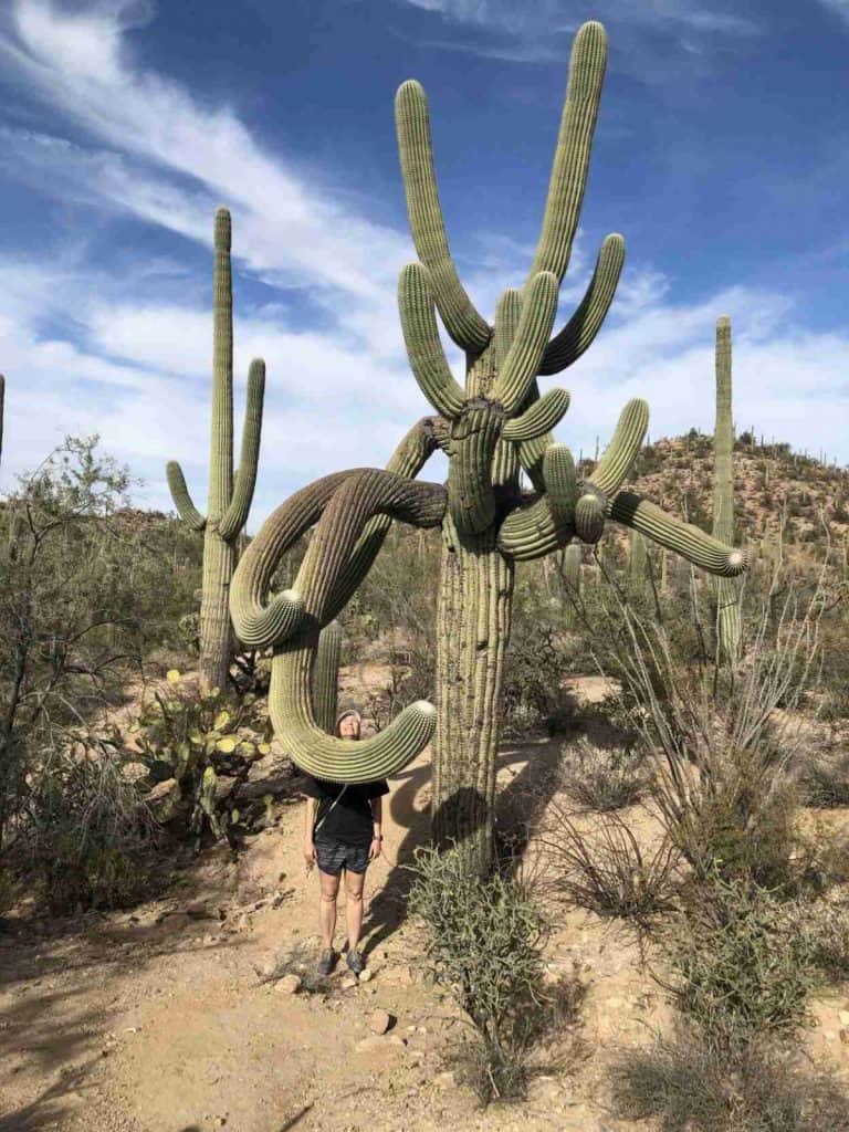 A woman poses with a saguaro with many crazy arms in the Sonoran Desert