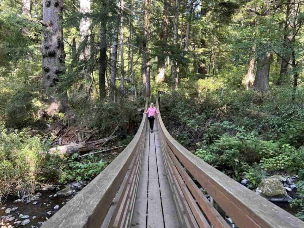 Suspension bridge on Necarney Creek Trail in Oregon