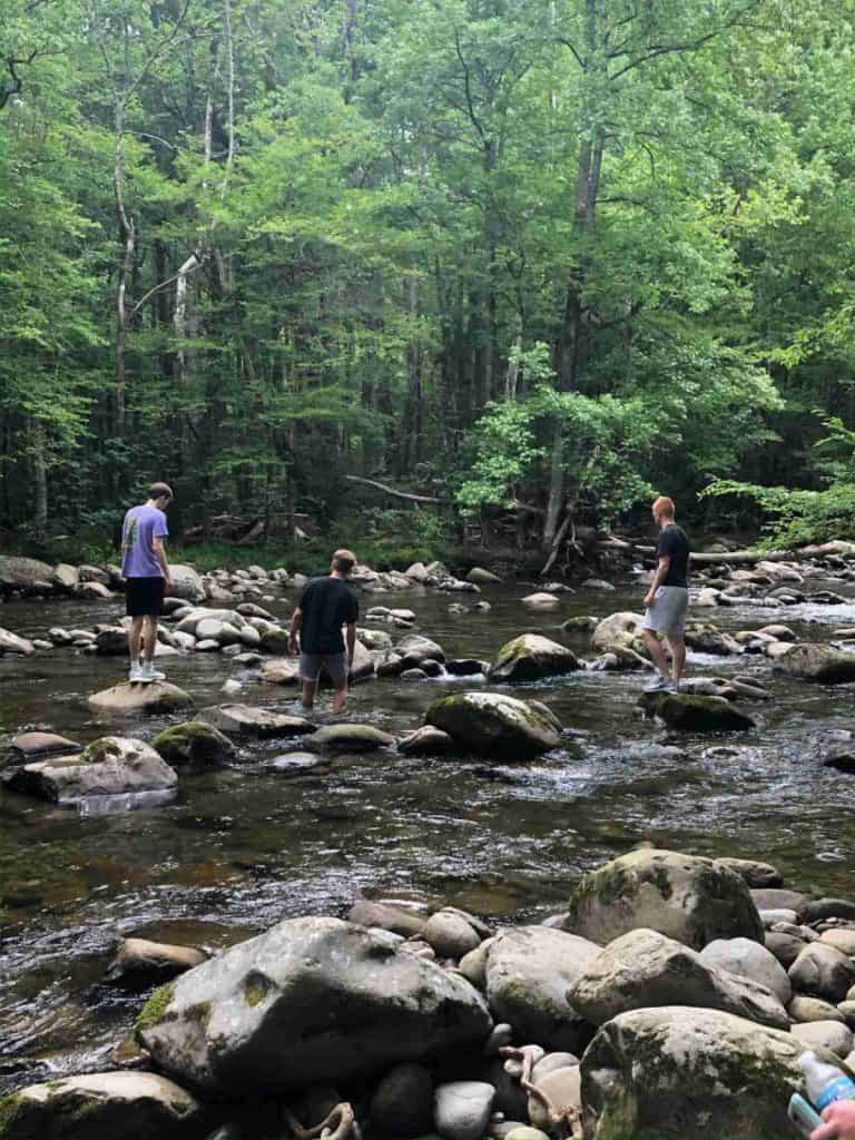 Exploring a creek in the Smoky Mountains