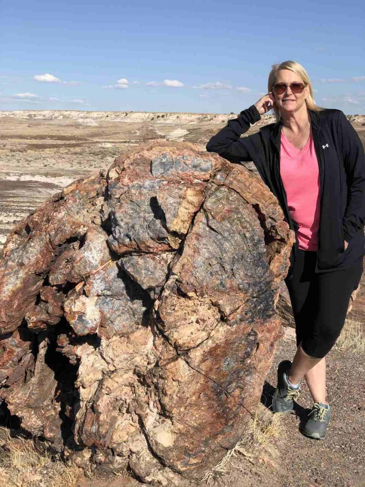 Stone log at Petrified Forest