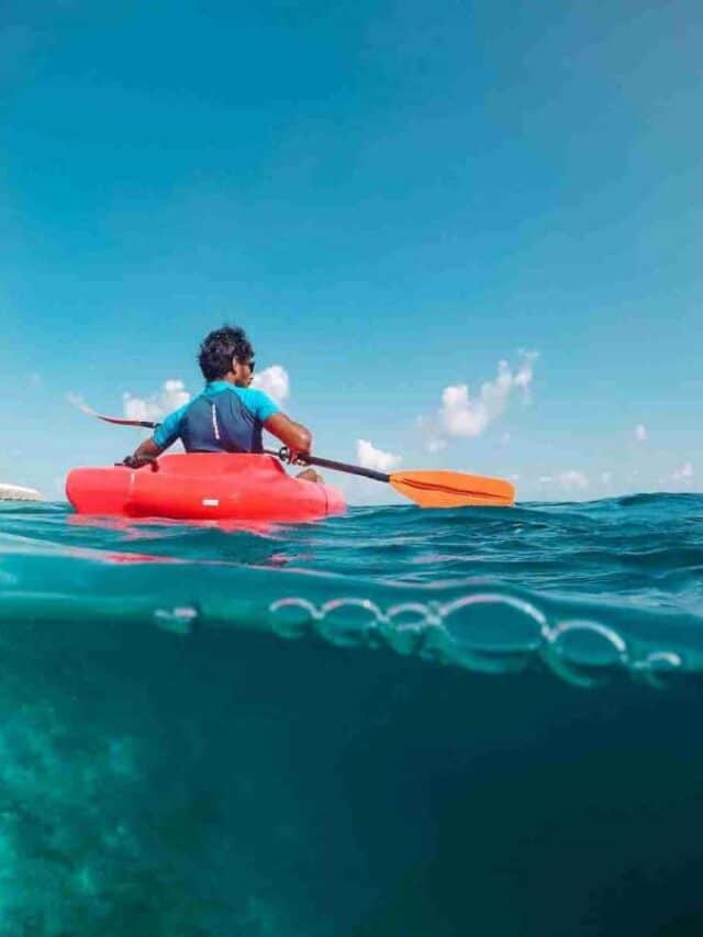 Beginner’s Guide to Ocean Kayaking: What You Need to Know