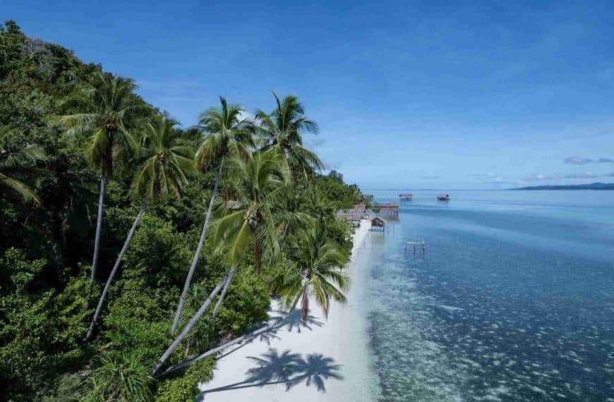 tropical island