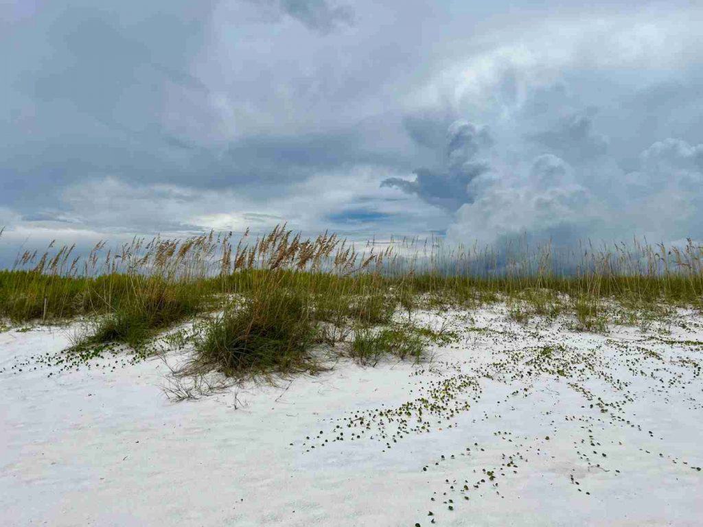 white sand beaches in Fort Walton