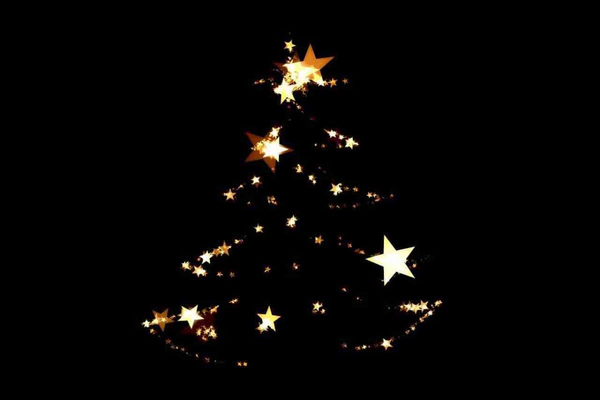 Christmas tree with star lights