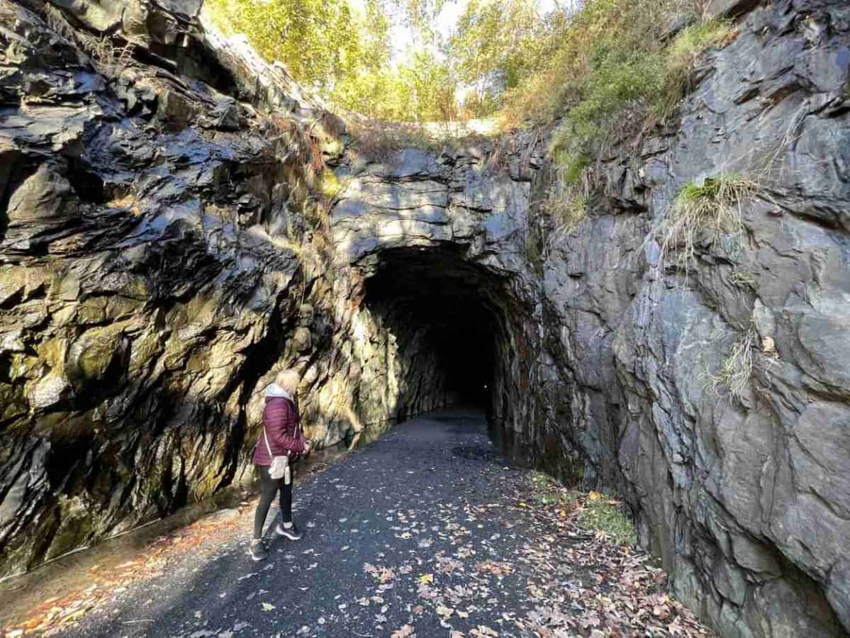 Peering into Blue Ridge Tunnel