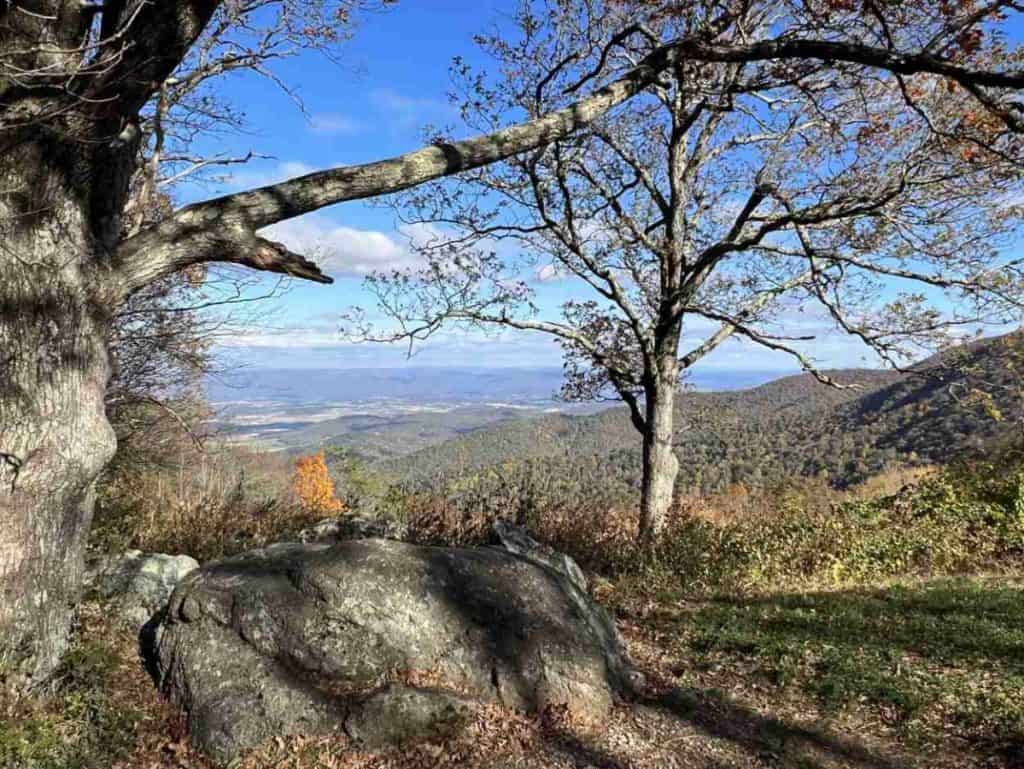 View from Fishers Gap Overlook on Skyline Drive