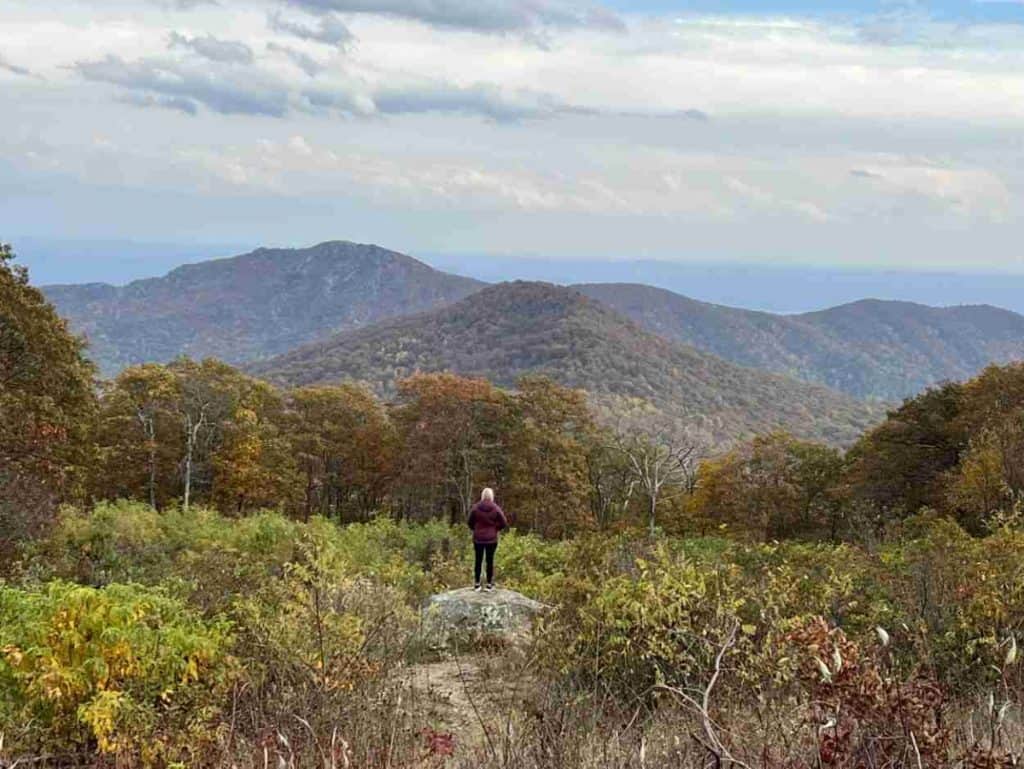 View from Thorofare Mountain Overlook on Skyline Drive