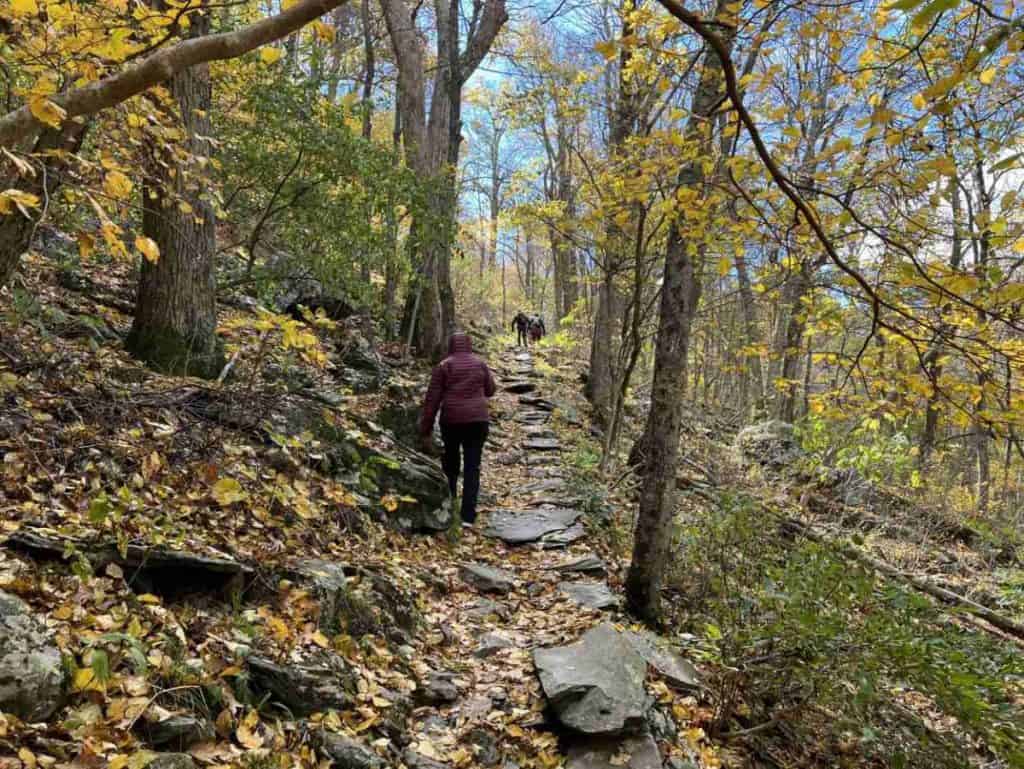 Trail to Bearfence Viewpoint