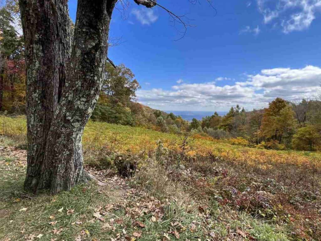 View from South River Overlook on Skyline Drive