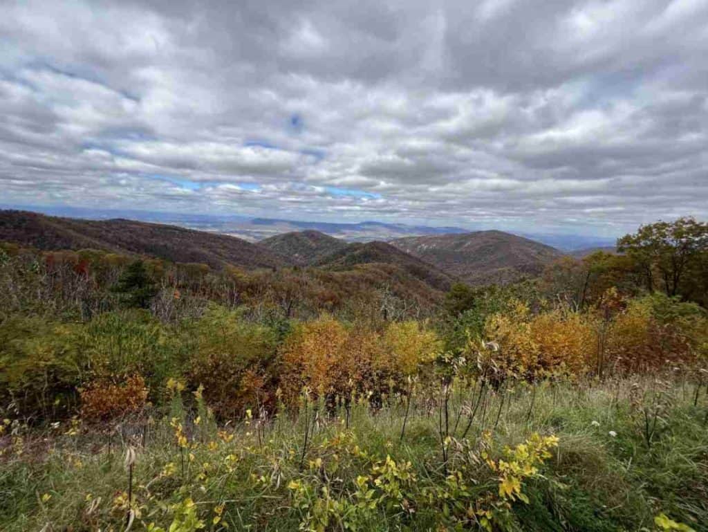 View from Two Mile Run Overlook on Skyline Drive