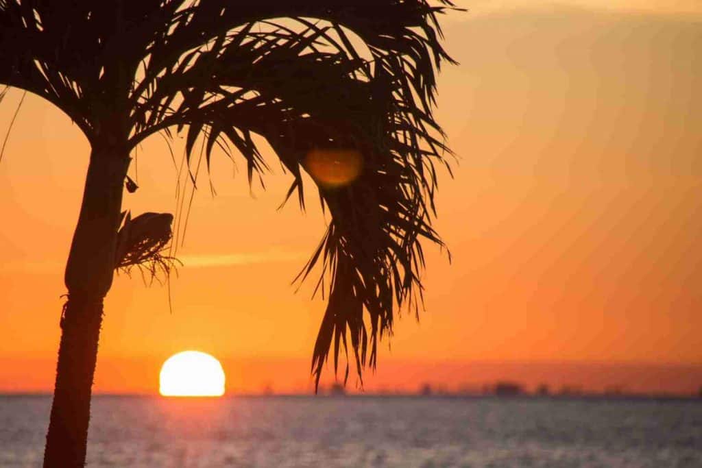 sunset