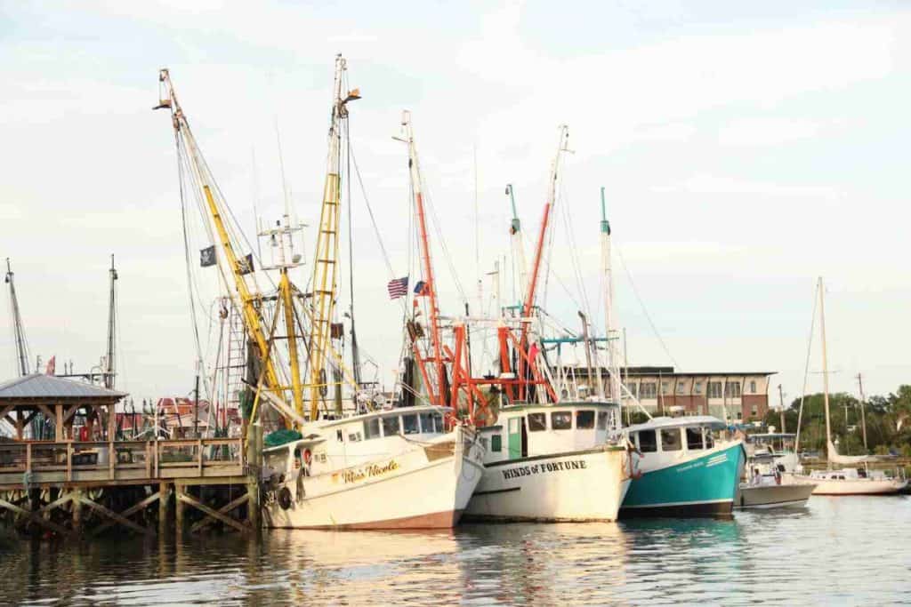 boats docked in Shem Creek