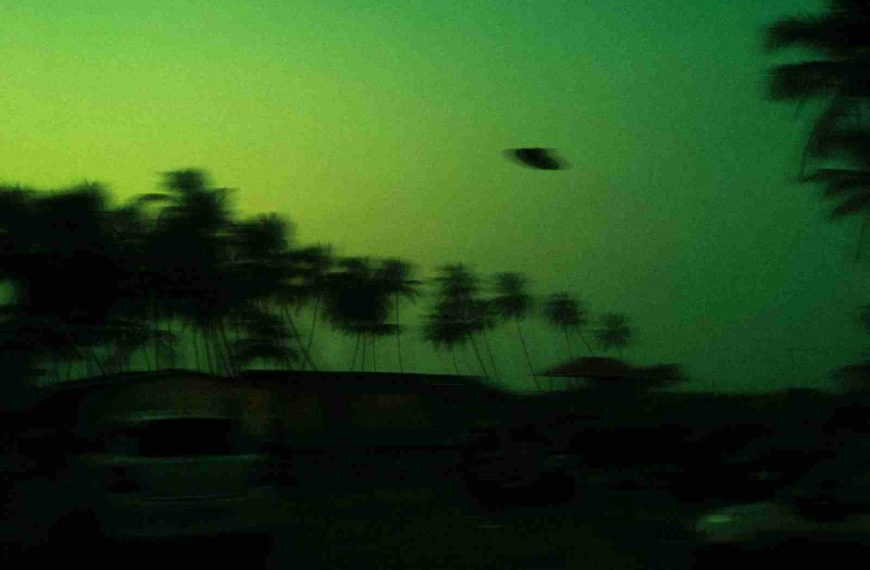green and black trees under blue sky