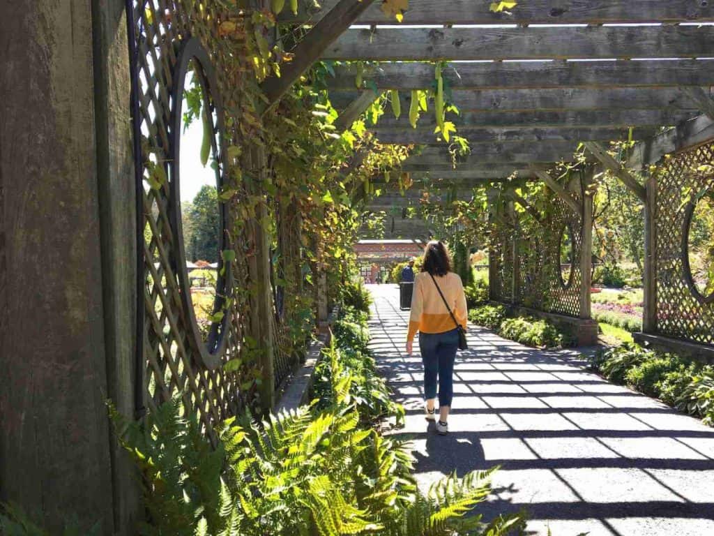 woman in brown shirt and black pants walking on pathway