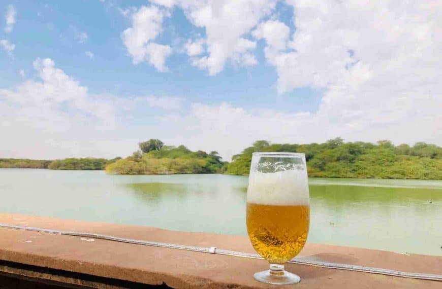 clear drinking glass with beer on brown wooden table near body of water during daytime