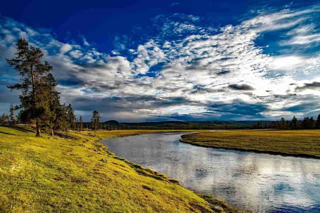 yellowstone, national park, wyoming