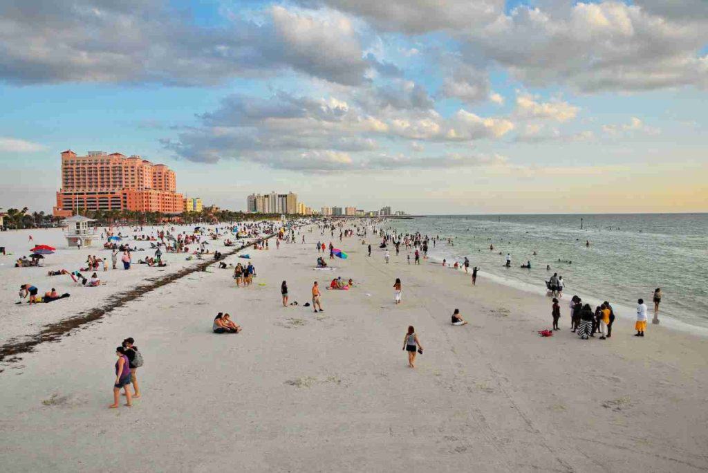 people on beach during daytime