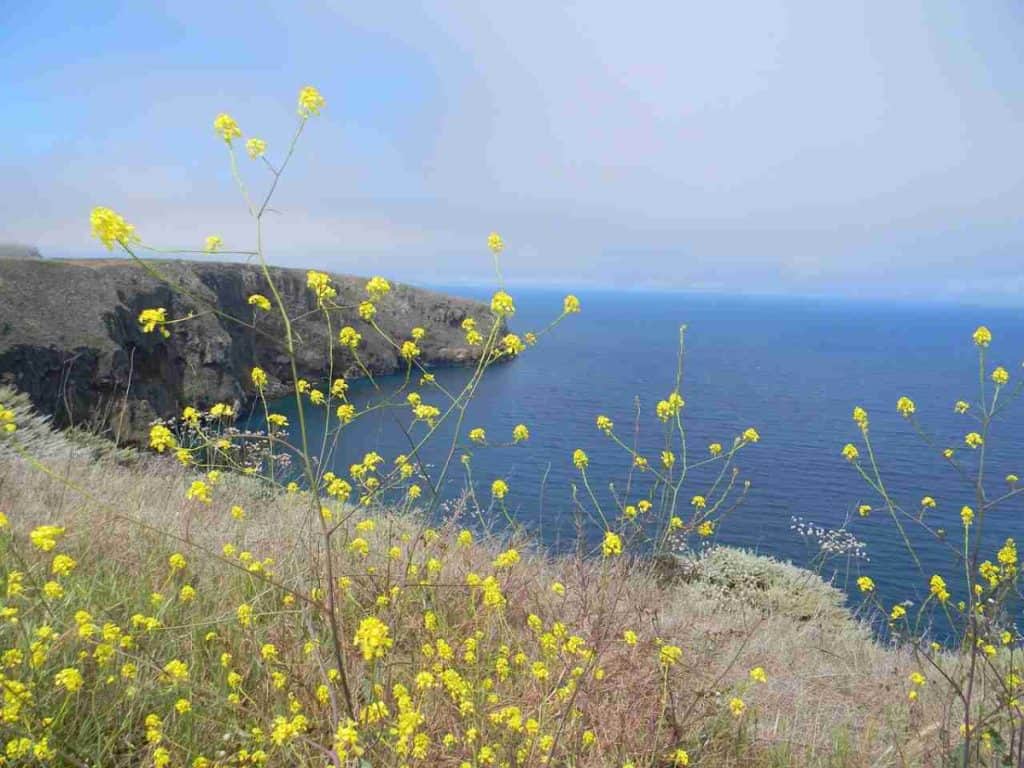 channel islands national park, cliffs, ocean