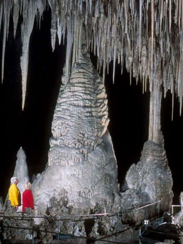 cave formations at Carlsbad Caverns