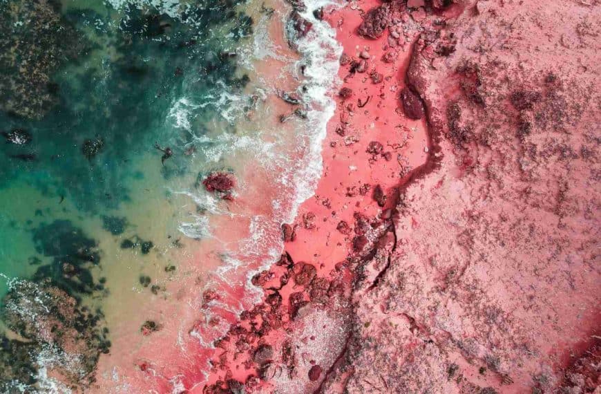 aerial view of pink beach during daytime
