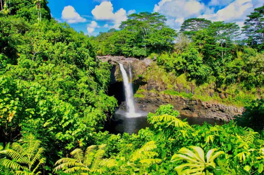 a waterfall in a forest on the Big Island