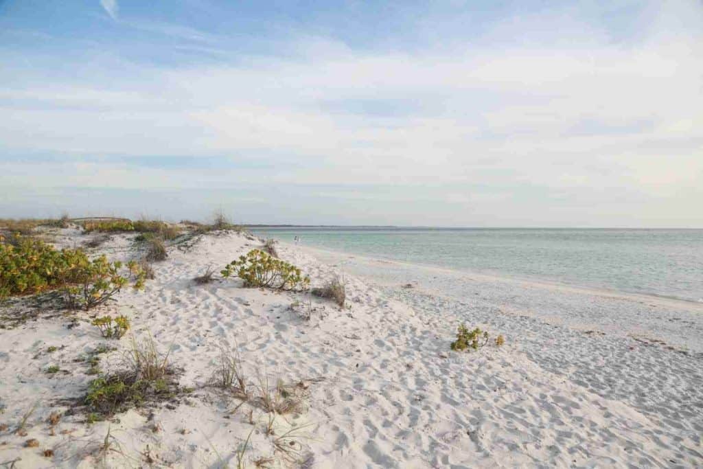 White Sand Beach Under Clear Sky