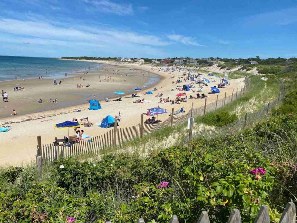 people on beach during daytime