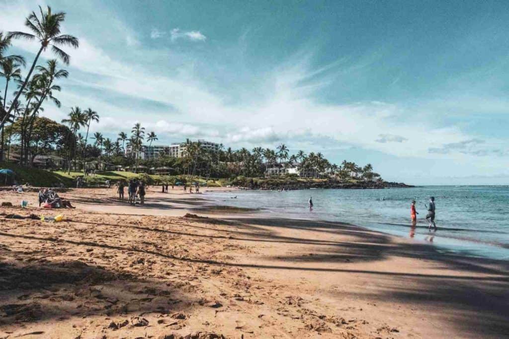 people on beach during daytime