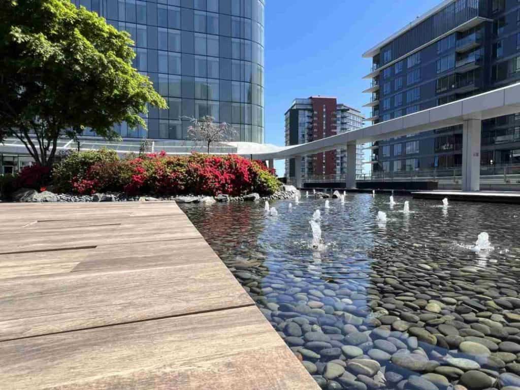 Rooftop park at the DOUGLAS, Autograph Collection